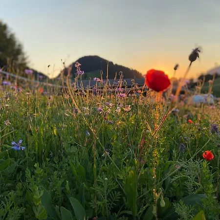 Haus Chorblick Lägenhet