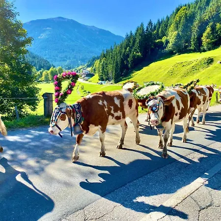 Apartment Haus Chorblick Westendorf