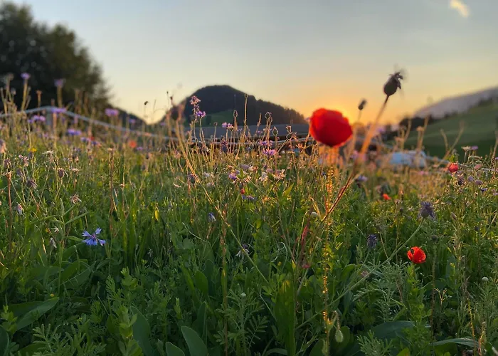 Haus Chorblick Apartamento